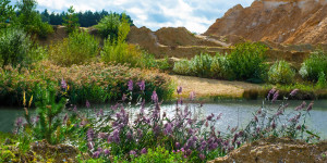 Alte Ausgrabungsstätte mir einem Fluss in der Mitte